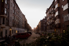 Rue